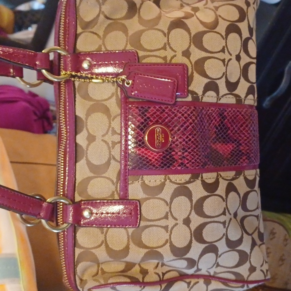 Coach F24884